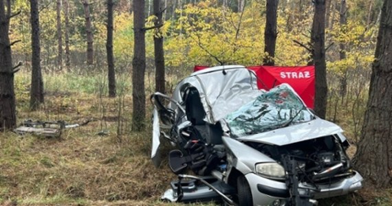 Śmiertelny wypadek w Giedlarowej na Podkarpaciu. 19-letnia kierująca samochodem uderzyła w drzewo.