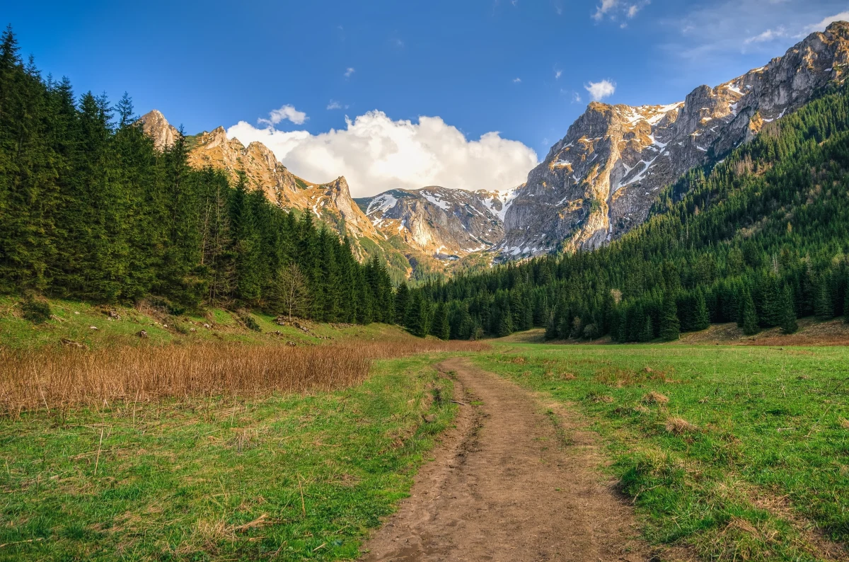 Od wtorku (8 listopada) ponownie została otwarta dla turystów Dolina Małej Łąki w Tatrach wraz z przyległymi szalkami na Przysłop Miętusi – informuje Tatrzański Park Narodowy. Ten rejon był zamknięty od soboty z powodu powalonych przez halny drzew.