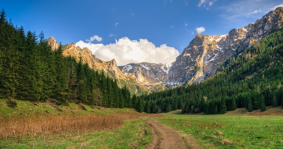 Od wtorku (8 listopada) ponownie została otwarta dla turystów Dolina Małej Łąki w Tatrach wraz z przyległymi szalkami na Przysłop Miętusi – informuje Tatrzański Park Narodowy. Ten rejon był zamknięty od soboty z powodu powalonych przez halny drzew.