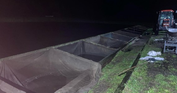 Blisko 200 kg ryb wyłowili ze stawów koło Smogulca w Wielkopolsce dwaj mężczyźni. Złodziei spłoszyli pracownicy gospodarstwa. Jednego z nich ujęli.