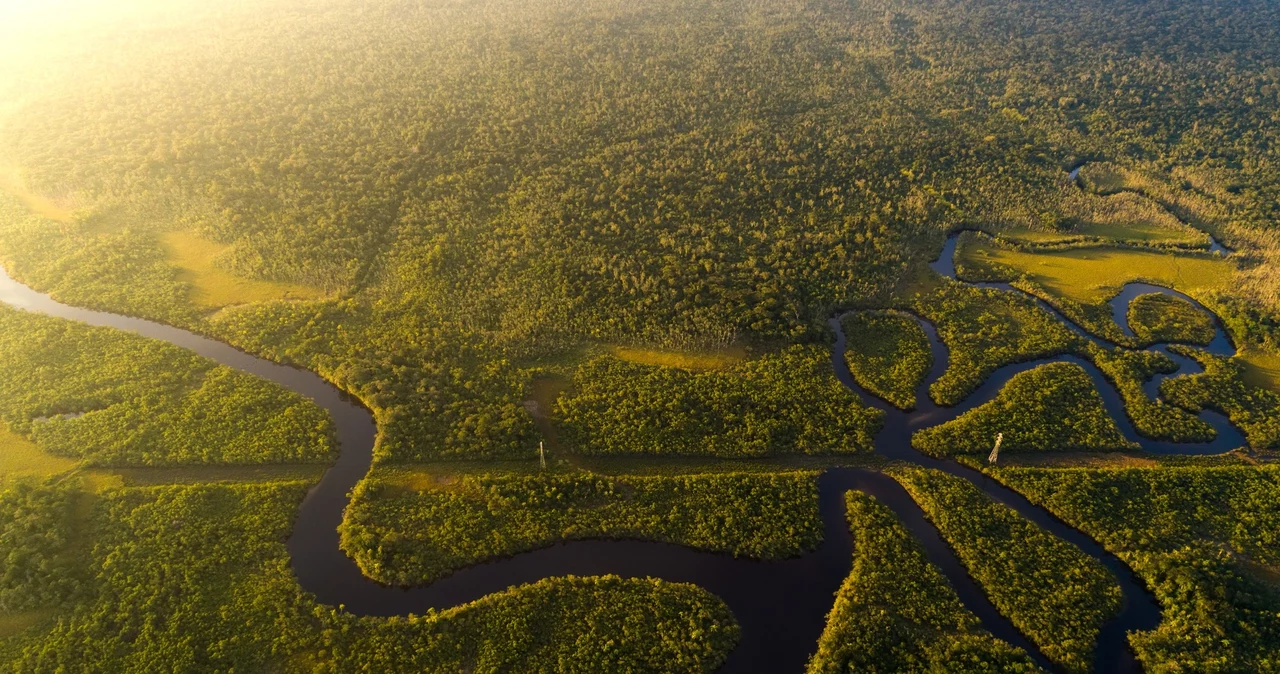 Z raportu Copernicus wynika, że w Ameryce Południowej emisja CO2 powodowane przez pożary lasu są mniejsze od średniej. W Australii z kolei sytuacja jest najgorsza od dekady