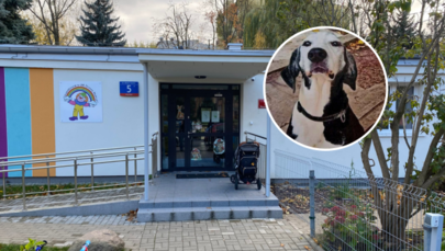Warszawa: Finał afery wokół psa Czarka z przedszkola na Woli 