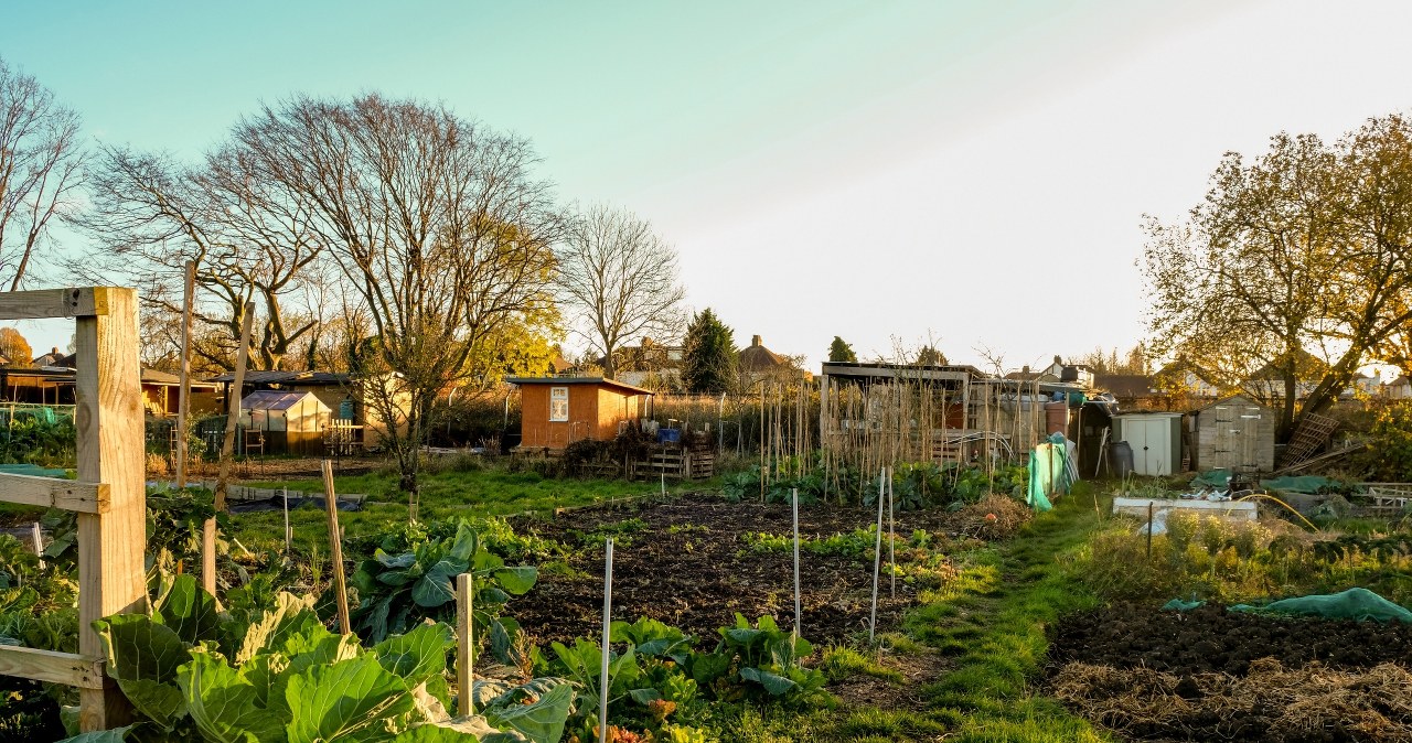 Kary są ogromne. Właściciele ogródków muszą uważać po zmianie przepisów