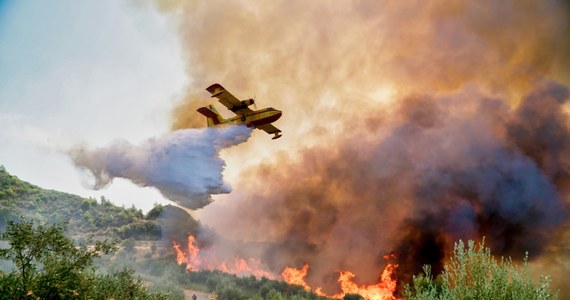 2023 roku prawdopodobnie będzie najbardziej gorącym rokiem w historii pomiarów – twierdzą naukowcy zaangażowani w program obserwacji Ziemi Copernicus. O zmianach klimatu badacze i politycy będą rozmawiać w trakcie konferencji COP 28, która rozpocznie się w tym miesiącu.