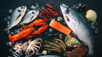 Fier Seafood stawia na zrównoważony połów. Owoce morza ze sprawdzonego źródła dla Twojej restauracji