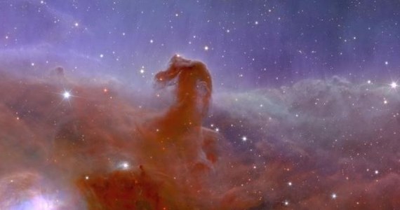 Imagini uimitoare de la Telescopul Euclid.  Pe unul dintre ele este un cap de cal