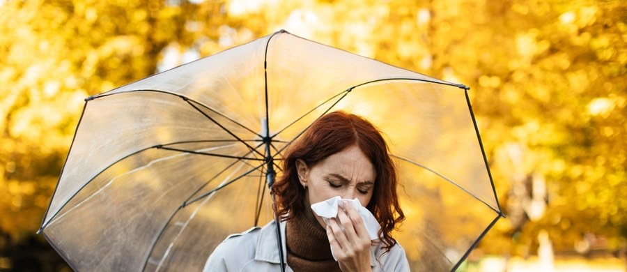 Grypa, przeziębienie, Covid-19 – infekcje nie oszczędzają nas zwłaszcza w okresie jesiennym, gdy temperatura na zewnątrz potrafi być zmienna, a nam wystarczy chwila nieuwagi, by złapać niepożądaną infekcję. W cyklu „Twoje Zdrowie w Faktach RMF FM”,  przyglądamy się sposobom na wzmocnienie odporności jesienią, skupiając się na naturalnych rozwiązaniach.