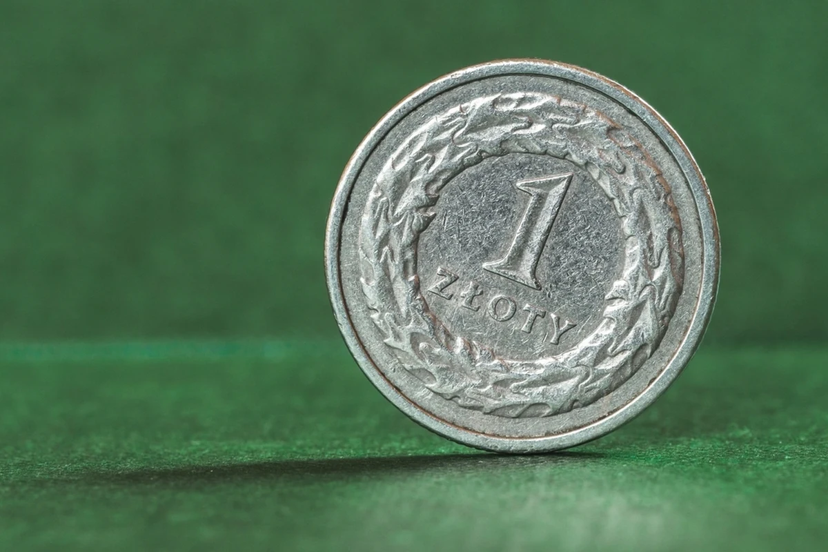 W ciągu kilkudziesięciu minut po decyzji Rady Polityki Pieniężnej w sprawie stóp procentowych złoty zyskał na wartości wobec euro, dolara amerykańskiego i franka szwajcarskiego. Euro kosztowało ponad 4,44 zł, dolar 4,15 zł, a frank - blisko 4,62 zł.