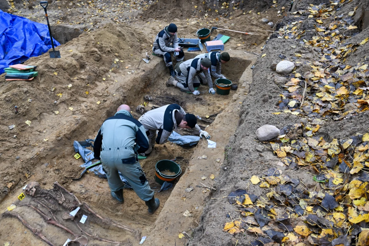 Szczątki około stu osób - jeńców wojennych, a także cywilów z Powstania Warszawskiego - odnaleźli naukowcy w pobliżu byłego obozu jenieckiego Stalag II D w Stargardzie w Zachodniopomorskiem w trzecim sezonie badań. Od początku projektu odnaleziono szczątki około 300 osób.