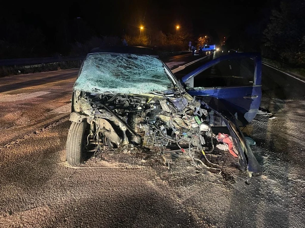 Pięć osób zostało poszkodowanych w wieczornym wypadku na drodze krajowej 88 na wysokości ul. Mikulczyckiej w Zabrzu. Czołowo zderzyły się tam dwa samochody osobowe.