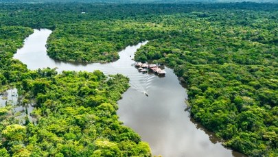 Wysychają rzeki, giną delfiny. Historyczna susza w Amazonii