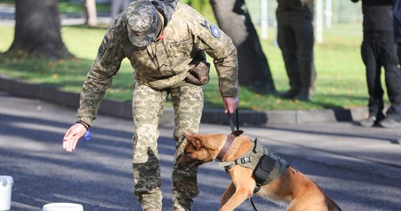 Dziewięć psów saperskich, wyszkolonych w Belgii, Luksemburgu i Finlandii, zostało uroczyście przekazanych ukraińskiej armii. Zwierzęta trafią do batalionu rozminowywania. Pomogą też w wykrywaniu materiałów radioaktywnych.