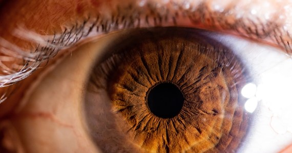 Chirurdzy szpitala New York University dokonali pierwszego w historii przeszczepu całego ludzkiego oka - podała telewizja CBS. Operację przeprowadzono w maju. Organizm pacjenta przyjął przeszczep. Nie wiadomo jednak, czy będzie możliwe przywrócenie wzroku w przeszczepionym oku.