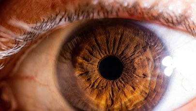 Pierwszy w historii przeszczep całego ludzkiego oka