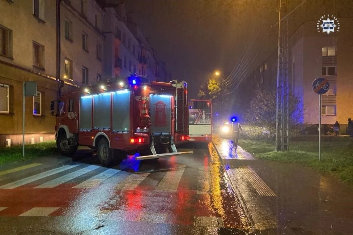 Dwie osoby zginęły w wieczorno-nocnych wypadkach na drogach w Śląskiem. Minionej doby doszło tam także do ponad 200 kolizji. Dziś policja już odnotowała 11 stłuczek.