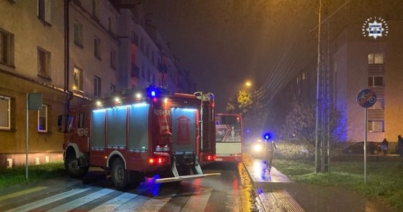Dwie osoby zginęły w wieczorno-nocnych wypadkach na drogach w Śląskiem. Minionej doby doszło tam także do ponad 200 kolizji. Dziś policja już odnotowała 11 stłuczek.