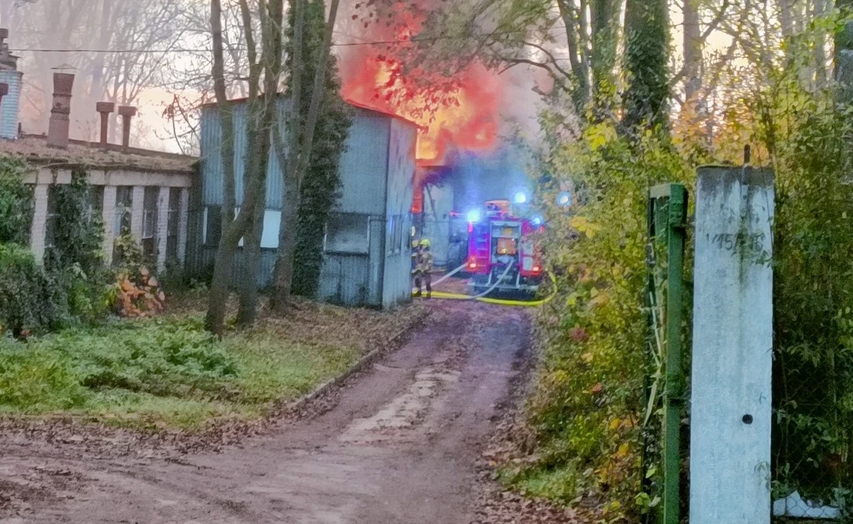 Kilkanaście zastępów straży pożarnych gasiło pożar budynków po dawnym PGR-ze w Konarzewie w Wielkopolsce. Na szczęście nie było osób poszkodowanych.