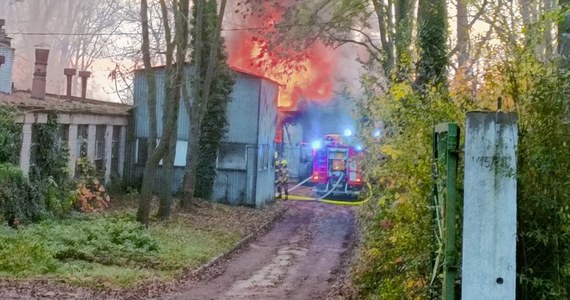 Kilkanaście zastępów straży pożarnych gasiło pożar budynków po dawnym PGR-ze w Konarzewie w Wielkopolsce. Na szczęście nie było osób poszkodowanych.