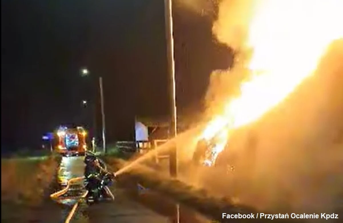 Działające od ponad 20 lat przytulisko dla zwierząt "Przystań Ocalenie" z Ćwiklic koło Pszczyny w Śląskiem apeluje o pomoc po pożarze, który w nocy z piątku na sobotę spowodował zniszczenie pożywienia dla zwierząt. Potrzebne jest przede wszystkim siano, a także słoma.