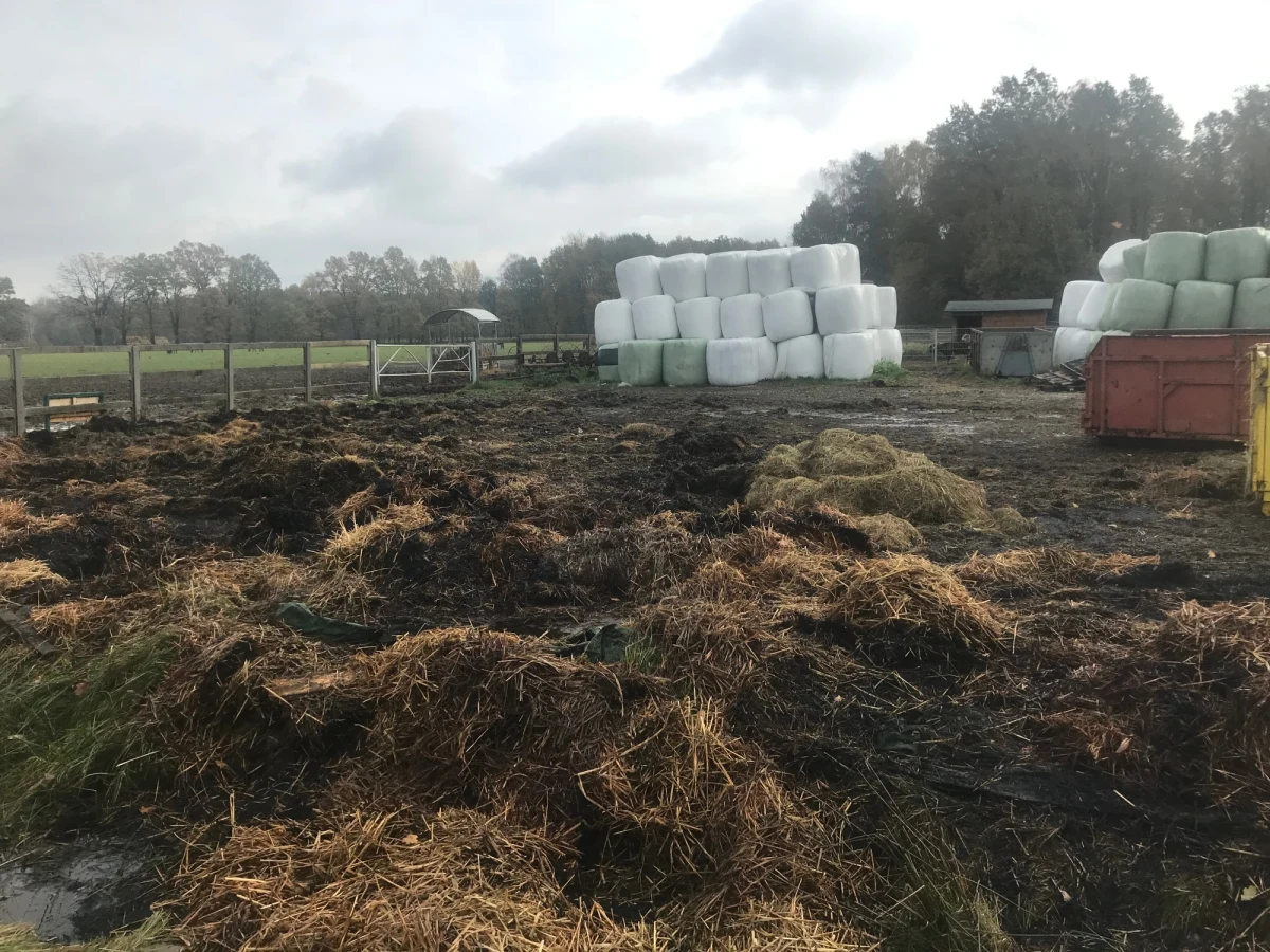 Ruszyła pomoc dla przytuliska dla zwierząt w Ćwiklicach w Śląskiem. W nocy z piątku na sobotę wybuchł tam pożar. W internecie ogłoszono zbiórkę pieniędzy, a dziś w przytulisku pojawili się wolontariusze, żeby sprzątać pogorzelisko.