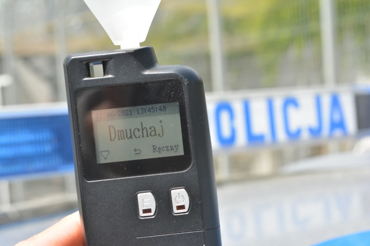 Za kierowanie zaprzęgiem w stanie nietrzeźwości i spowodowanie kolizji odpowie 37-letni woźnica z gminy Nielisz (Lubelskie). Mężczyzna miał  w organizmie blisko 5 promili alkoholu - poinformowała w poniedziałek policja.