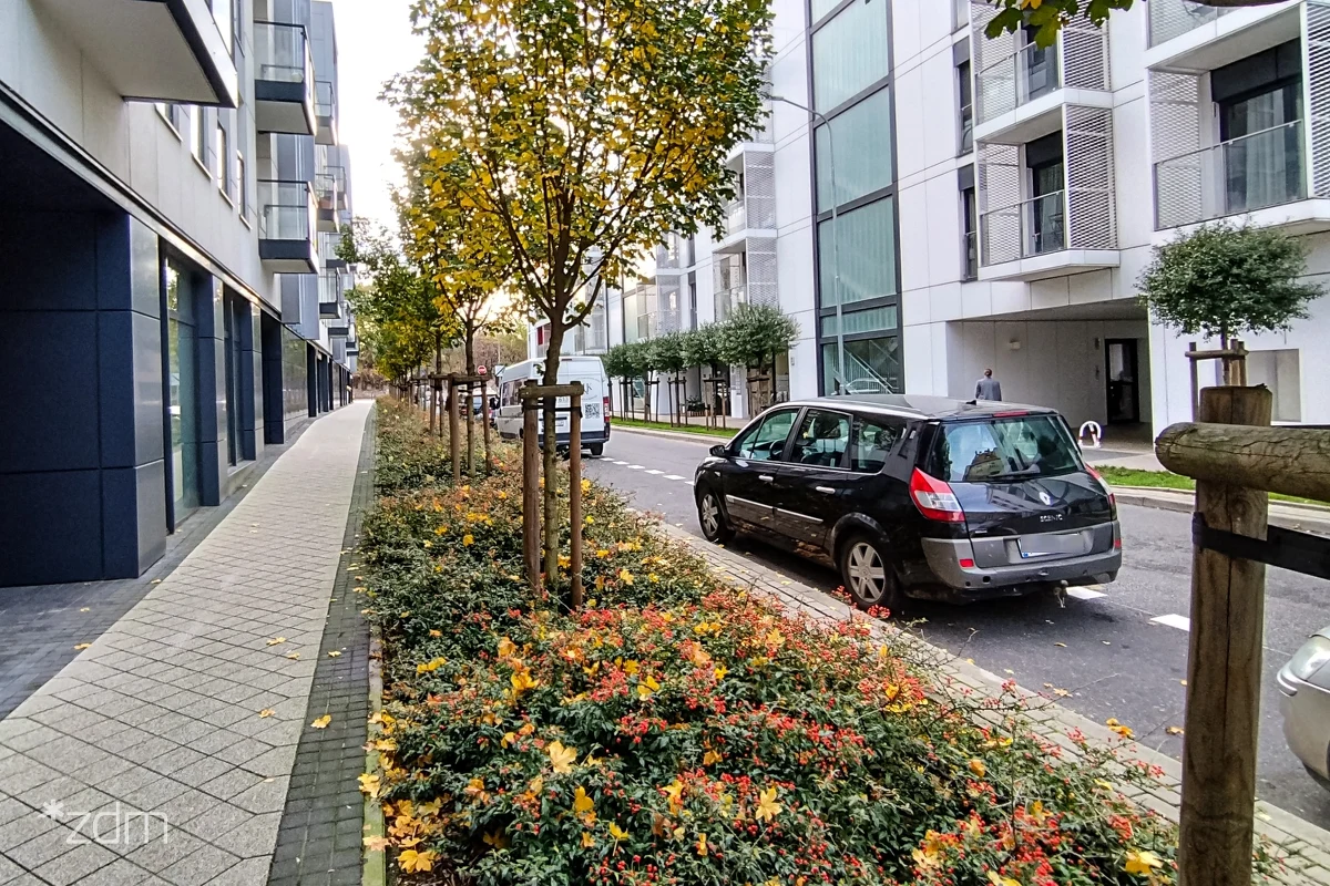 Na ulicy Prusa będzie ładniej, przyjaźniej i bardziej zielono. W poniedziałek, 13 listopada, rozpoczynają się prace związane z nowymi nasadzeniami. Zieleń pojawi się w miejscach, gdzie wcześniej parkowały samochody.