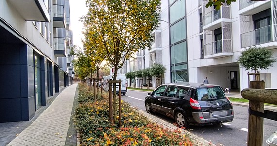 Na ulicy Prusa będzie ładniej, przyjaźniej i bardziej zielono. W poniedziałek, 13 listopada, rozpoczynają się prace związane z nowymi nasadzeniami. Zieleń pojawi się w miejscach, gdzie wcześniej parkowały samochody.