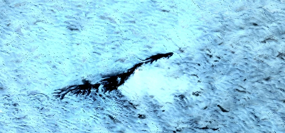 Minęło 90 lat od wykonania fotografii, na której po raz pierwszy uwieczniono coś, co później nazwano "potworem z Loch Ness". Od tego czasu szkockie jezioro przyciąga badaczy z całego świata, którzy chcą odkryć tajemnicę dziwnej sylwetki wyłaniającej się z tafli.