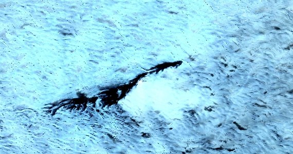 Minęło 90 lat od wykonania fotografii, na której po raz pierwszy uwieczniono coś, co później nazwano "potworem z Loch Ness". Od tego czasu szkockie jezioro przyciąga badaczy z całego świata, którzy chcą odkryć tajemnicę dziwnej sylwetki wyłaniającej się z tafli.