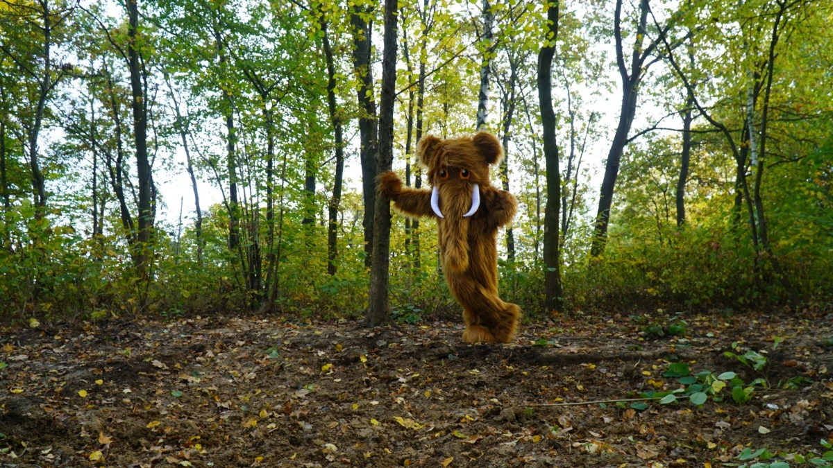 Czy Mamut stanie się kolejnym symbolem Krakowa. Ruszył właśnie projekt pod hasłem ,,MAMUT art&science", którego celem jest rozpowszechnienie wiedzy o jednym z największych znalezisk kości mamutów w Europie. Znajdowało się ono u podnóża Kopca Kościuszki. 