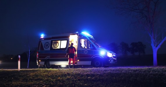 Trzy osoby, w tym dwoje dzieci, zostały ranne w wypadku, do któego doszło we wtorek wieczorem w miejscowości Leźnica Wielka w powiecie zgierskim (woj. łódzkie). Samochód osobowy uderzył w drzewo.