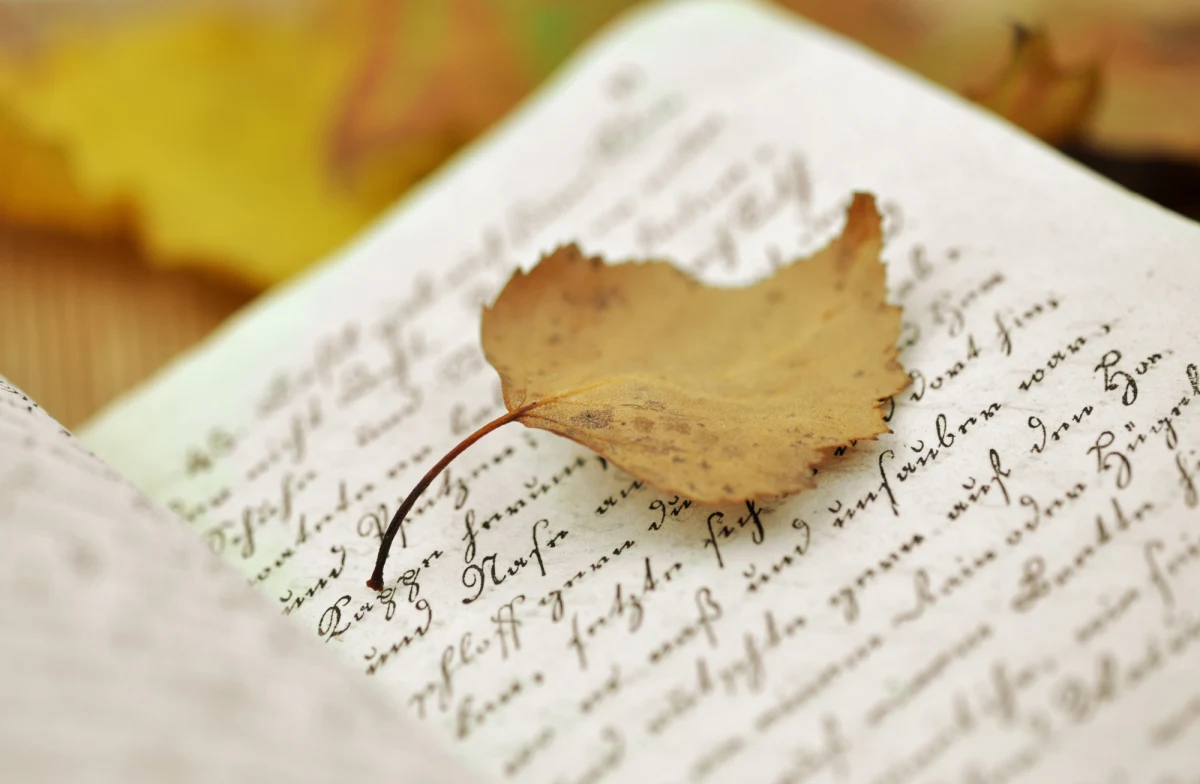 Muzeum Wojciecha Kętrzyńskiego w Kętrzynie otrzymało od prywatnej osoby dziennik spisany w 1849 r. przez Angelikę Wilhelminę zu Dohna, z domu von Dönhoff (1794-1866), ostatnią z Dönhoffów panią pałacu w Drogoszach.

