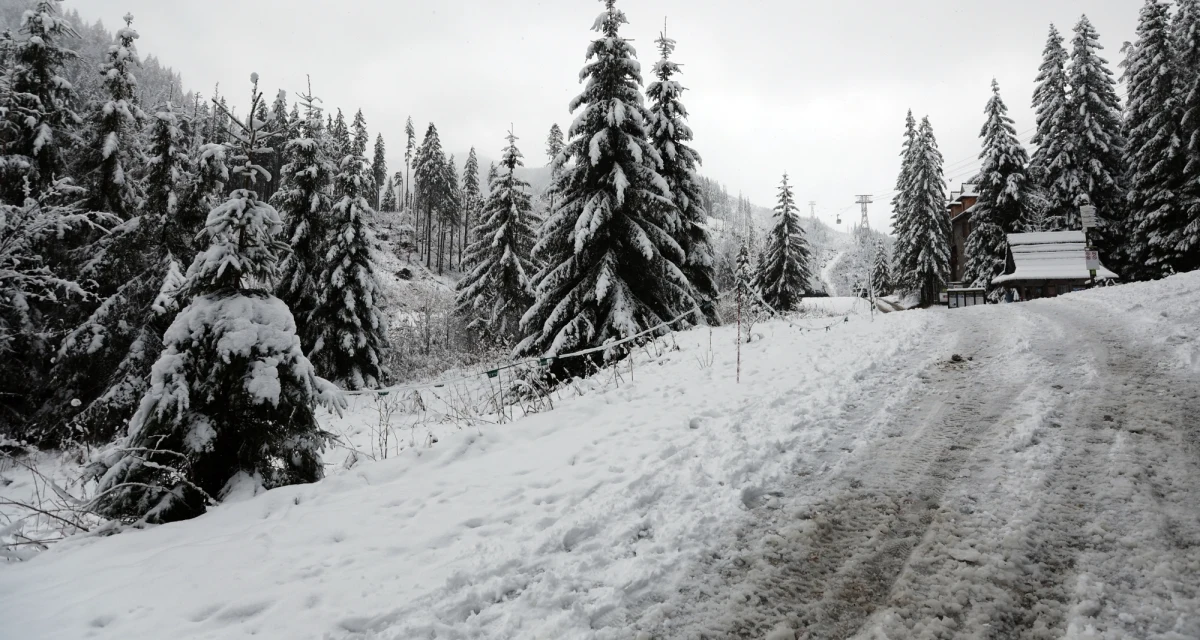 W weekend w górach drogi mogą się zrobić białe. Generalna Dyrekcja Dróg Krajowych i Autostrad zaleca zmianę opon na zimowe i zabranie ze sobą łańcuchów na koła.
