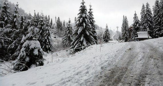 W weekend w górach drogi mogą się zrobić białe. Generalna Dyrekcja Dróg Krajowych i Autostrad zaleca zmianę opon na zimowe i zabranie ze sobą łańcuchów na koła.