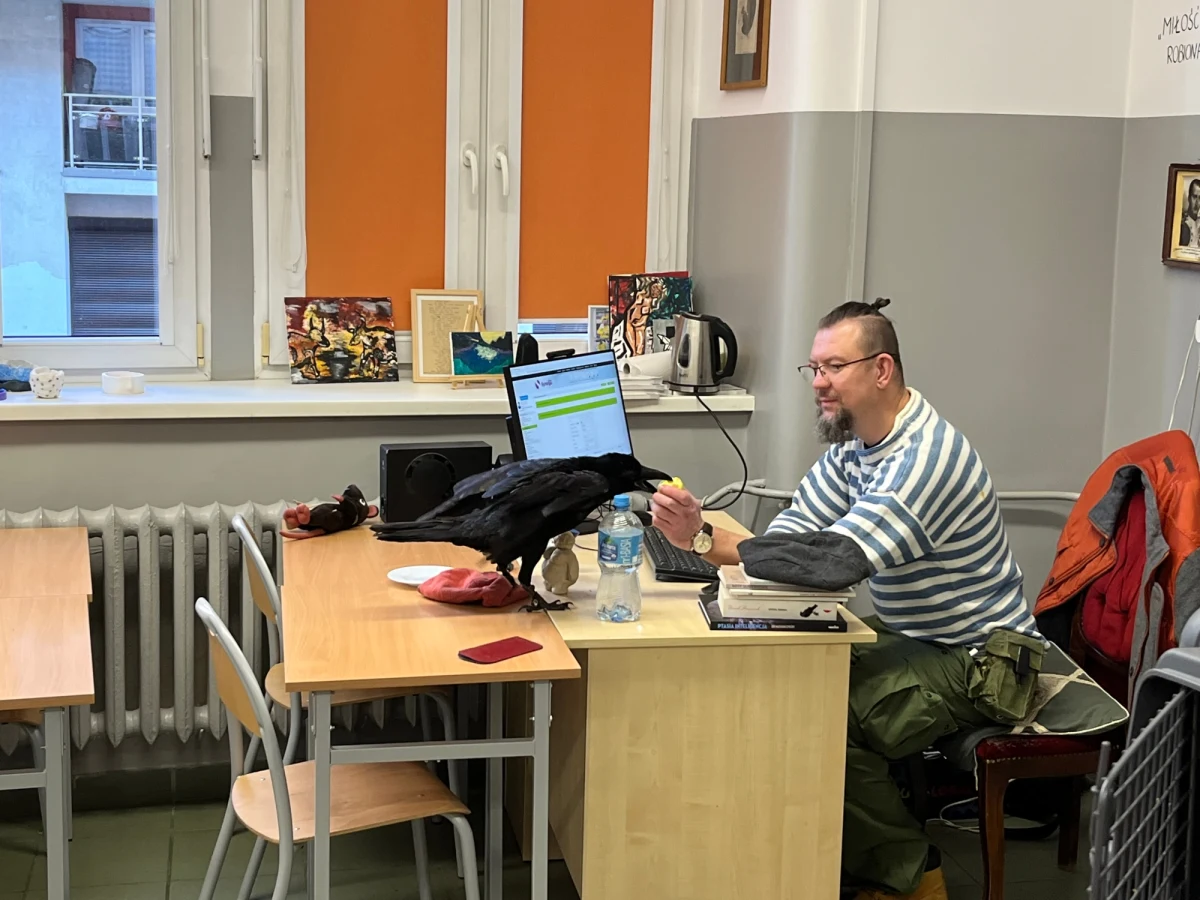 Pamiętacie Harrego Pottera? W Hogwarcie uczniowie korzystali z sów, by wysyłać wiadomości, a towarzyszką Harrego była sowa śnieżna Hedwiga. Niezwykły asystent, półroczny kruk o imieniu Ronin, bierze udział w lekcjach historii we wrocławskim IV LO.      