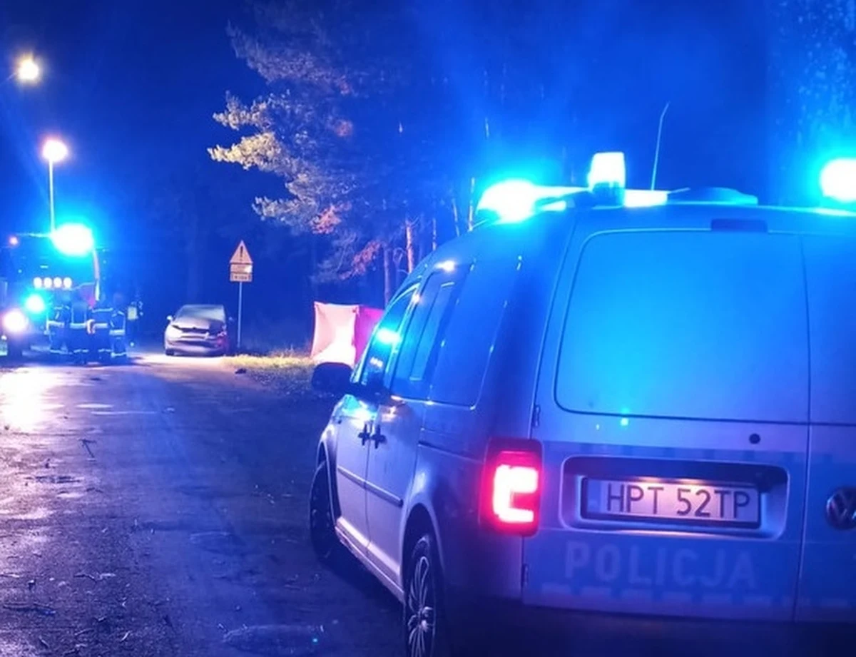 Policjanci z Olsztyna wyjaśniają okoliczności śmiertelnego wypadku w Borkach Wielkich. Pijany kierowca osobówki śmiertelnie potrącił tam 19-latkę. 