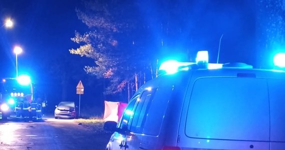 Policjanci z Olsztyna wyjaśniają okoliczności śmiertelnego wypadku w Borkach Wielkich. Pijany kierowca osobówki śmiertelnie potrącił tam 19-latkę. 