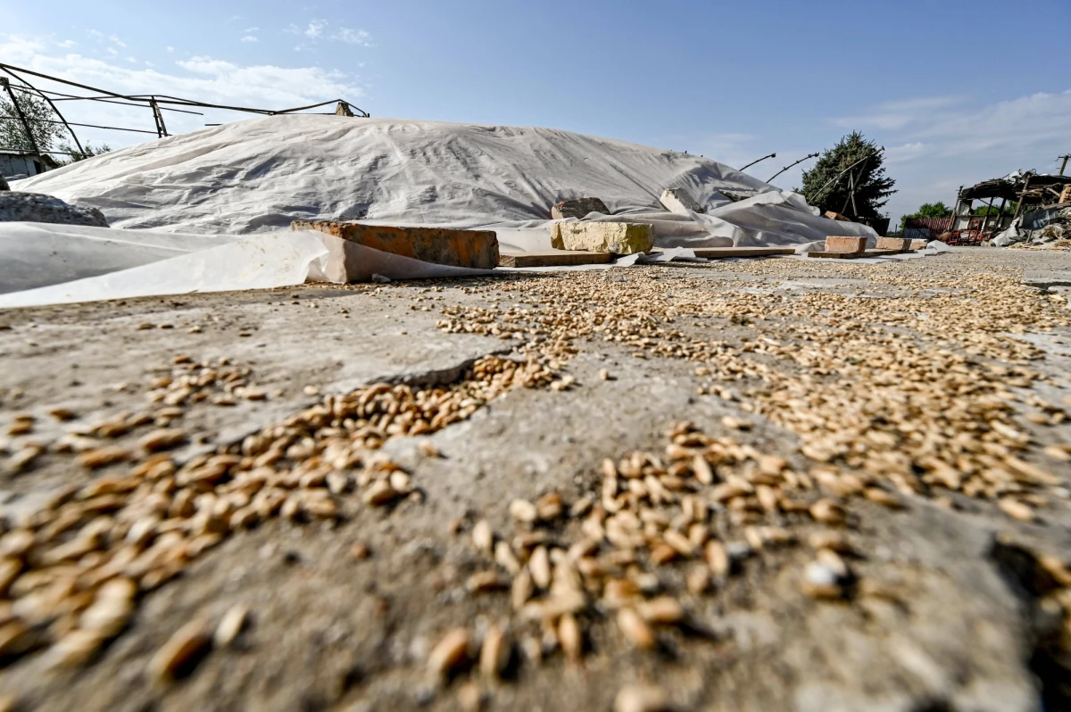 To mogą być podstawy do wysunięcia oskarżenia o popełnienie zbrodni wojennych. Według międzynarodowej firmy prawniczej Global Rights Compliance, rosyjski prezydent Władimir Putin świadomie chciał doprowadzić do głodu na Ukrainie. Donoszą o tym brytyjskie media. 
