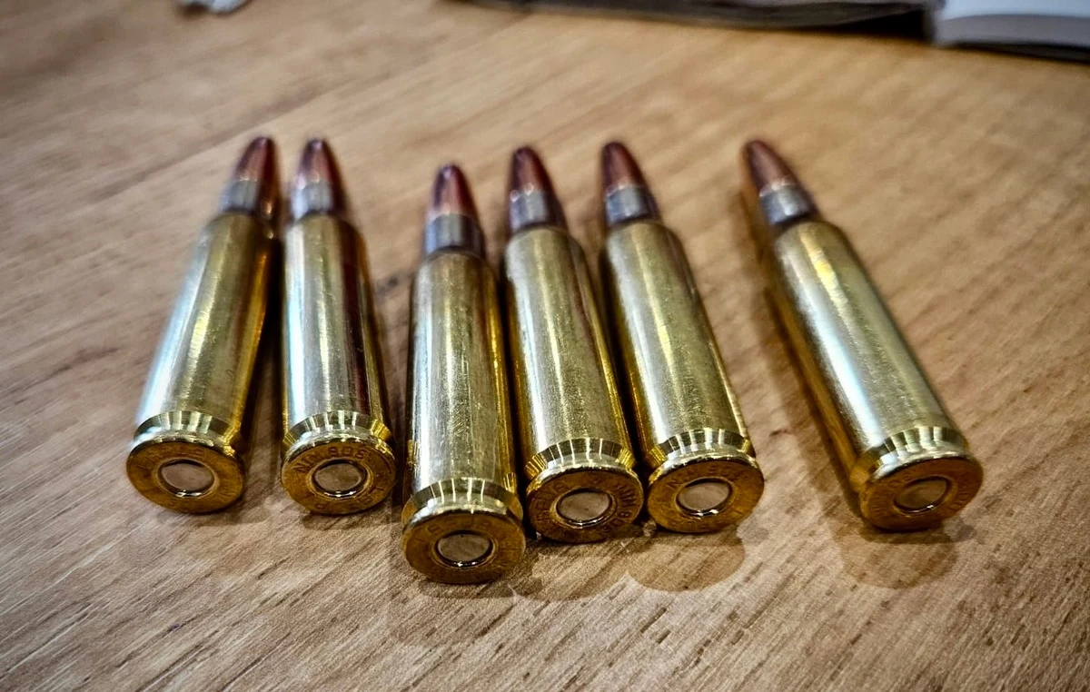 Do 5 lat więzienia grozi dwóm mieszkańcom pow. pilskiego, którzy zorganizowali nielegalne polowanie na zwierzynę łowną. Mężczyźni nie mieli wymaganych uprawnień, a polowanie odbyło się w okresie ochronnym.