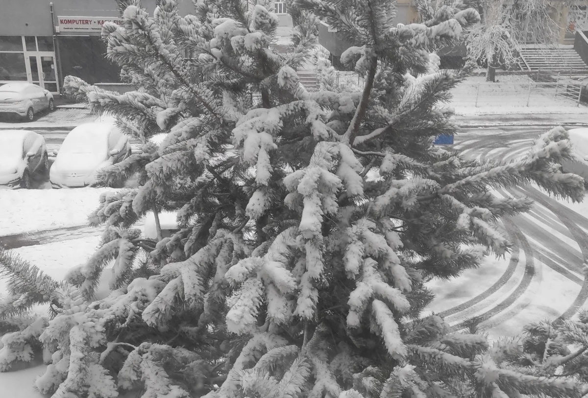 W sobotę niebo prawie w całej Polsce przykryją chmury, z których spadanie deszcz i śnieg. Termometry pokażą od minus 1 do 5 stopni Celsjusza - przekazała Anna Woźniak, synoptyk Centralnego Biura Prognoz Instytutu Meteorologii i Gospodarki Wodnej.