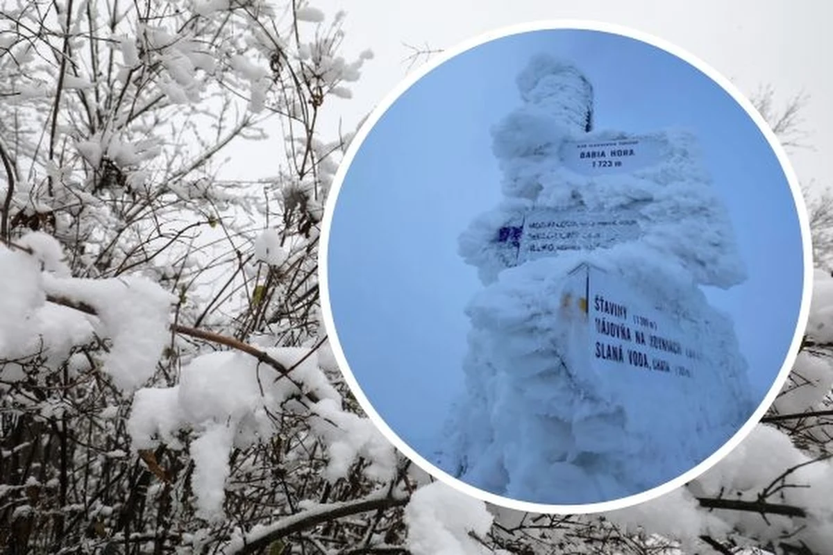 Zabieliły się Beskidy. Najwięcej śniegu spadło w rejonie Babiej Góry. Na Markowych Szczawinach jego pokrywa wynosiła w sobotę rano 19 cm. Na Hali Miziowej spadło 15 cm. W wyższych partiach gór było mroźnie. Warunki na szlakach są trudne - podali beskidzcy goprowcy.