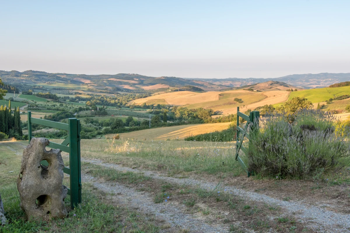 Kolejne niezwykłe odkrycie archeologiczne w miejscowości San Casciano dei Bagni koło Sieny w Toskanii we Włoszech. W wodzie na terenie wykopalisk odkryto dwumetrowy marmurowy posąg Apolla - podała Ansa.