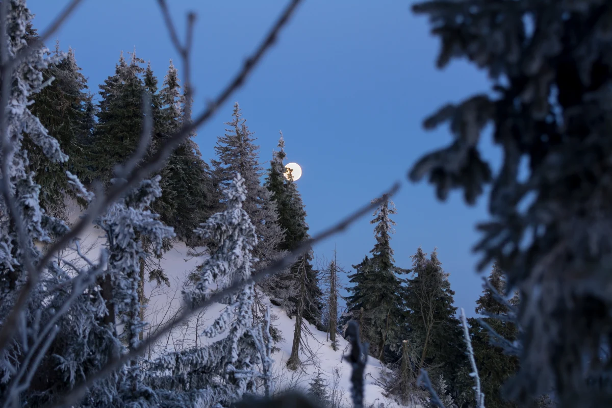 Kolejna akcja goprowców w rejonie Babiej Góry. Doprowadzili do schroniska na Markowych Szczawinach grupę 10 osób. Turyści schodząc z Babiej Góry stracili orientację. 