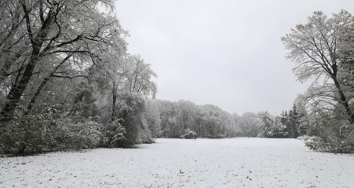 ​Niedziela w całym kraju będzie stała pod znakiem opadów - jak nie deszczu, to deszczu ze śniegiem i samego śniegu. W górach Instytut Meteorologii i Gospodarki Wodnej prognozuje zamiecie i zawieje śnieżne. Ratownicy Tatrzańskiego Ochotniczego Pogotowia Ratunkowego ogłosili w Tatrach drugi stopień zagrożenia lawinowego.