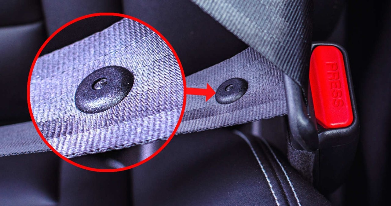 Guzik na pasach bezpieczeństwa ułatwia nam życie. Do czego służy?