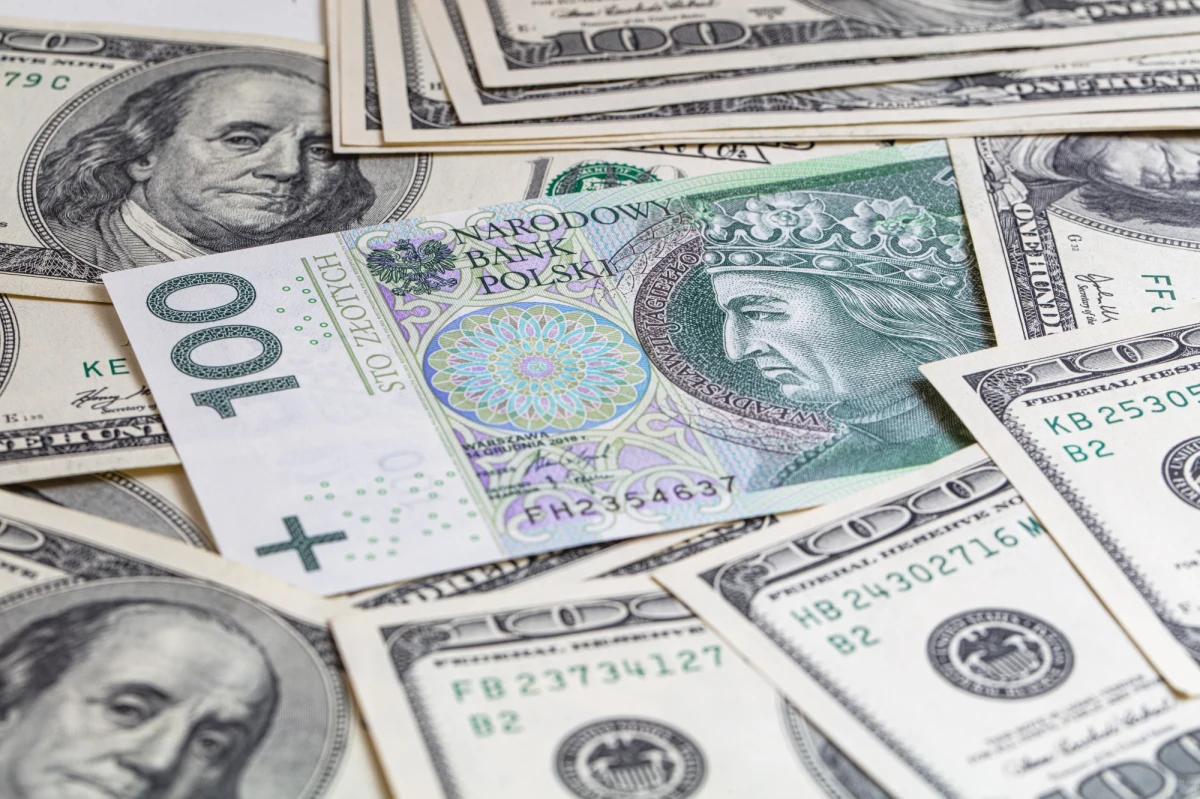 Polska waluta ostatnio nie ma sobie równych. W bieżącym kwartale zyskuje na wartości najmocniej spośród wszystkich 30 najistotniejszych walut globu - zauważa w RMF FM Bartosz Sawicki, analityk rynku. Kurs dolara spadł poniżej 4 zł, a euro było poprzednio notowane tak nisko jeszcze przed wybuchem pandemii w 2020 roku. W kolejnych tygodniach na rynek walut również można patrzeć z optymizmem.