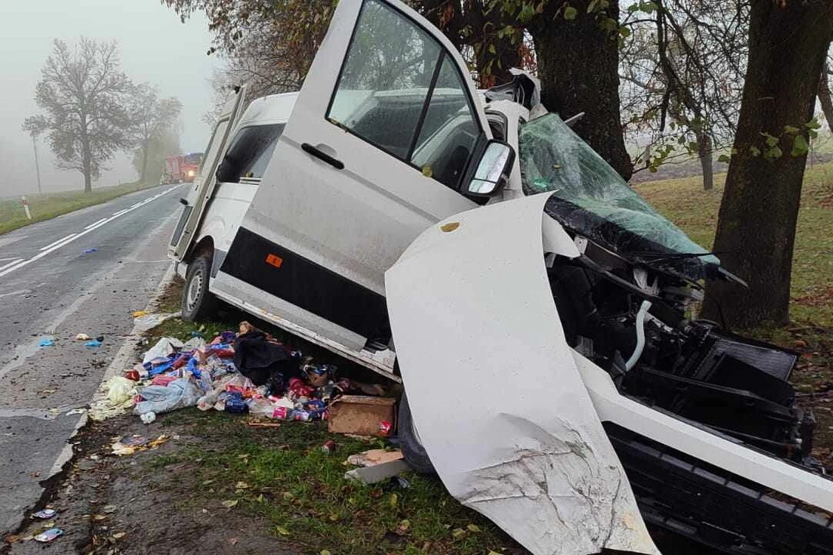 Prokuratura Rejonowa w Hrubieszowie wszczęła śledztwo ws. niedzielnego wypadku ukraińskiego busa w Wereszynie na Lubelszczyźnie. Na miejscu zdarzenia zmarły dwie kobiety w wieku 20 i 60 lat oraz 6-letnia dziewczynka. Śledczy planują przedstawienie zarzutów 31-letniemu kierowcy.