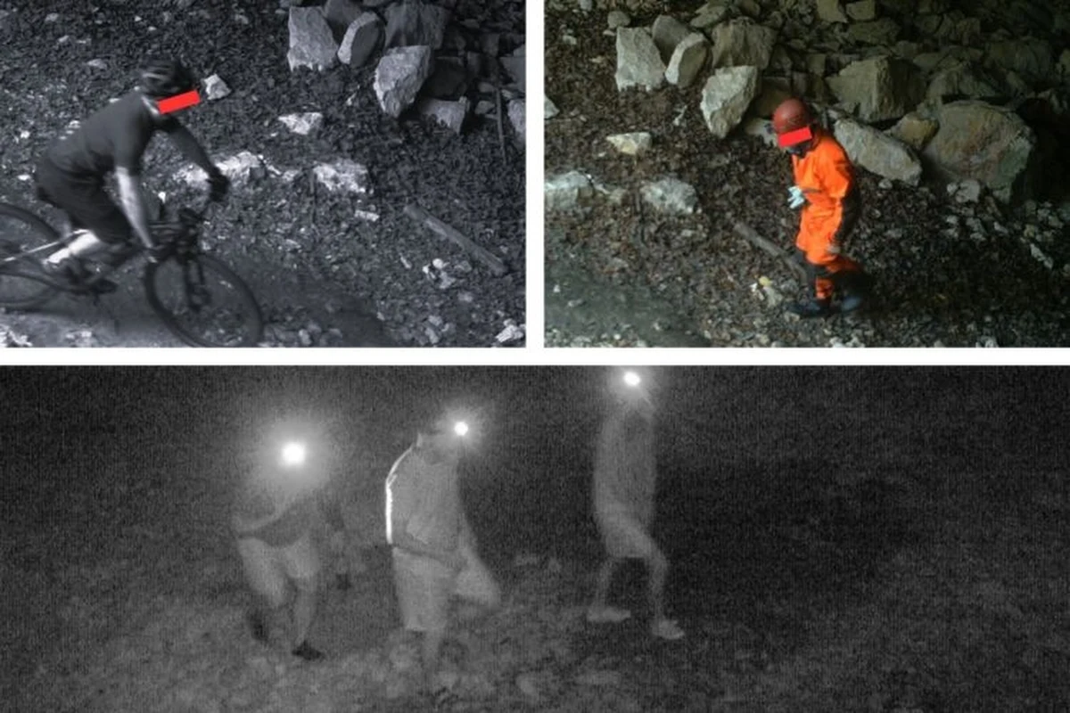 Niemal 200 osób weszło przez 3 miesiące do jednej z jaskiń w rezerwacie przyrody w woj. śląskim, objętej całorocznym i bezwzględnym zakazem wstępu. Zarejestrowała to ukryta kamera, zainstalowana przez przyrodników z Regionalnej Dyrekcji Ochrony Środowiska w Katowicach. 