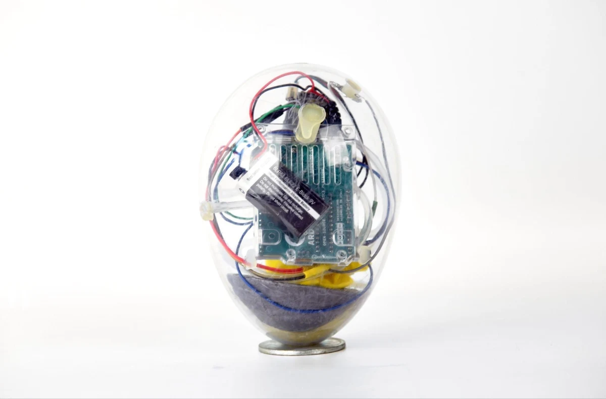 Wyposażone w elektroniczne czujniki Jajo, które potrafi utrzymać się na zaprogramowanej głębokości i mierzyć parametry jakościowe wody znalazło się w finale konkursu "Za wybitne osiągnięcia w dziedzinie techniki w 2022 roku" Naczelnej Organizacji Technicznej. To wynalazek dr. Macieja Gruszczyńskiego i Jana Błotnickiego z Instytutu Inżynierii Środowiska Uniwersytetu Przyrodniczego we Wrocławiu. 