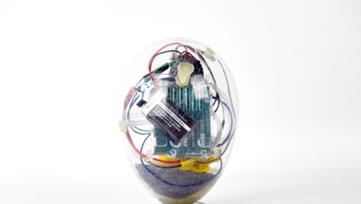 Jajo wynalezione przez naukowców z Wrocławia walczy o nagrodę NOT